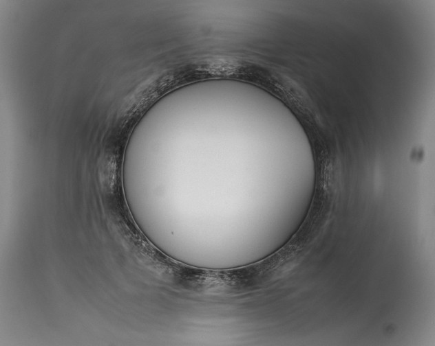 X0000113350697200909291055
