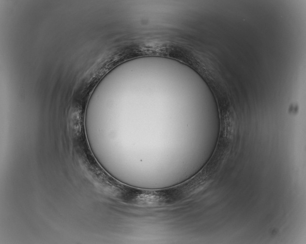 X0000113350699200909291055