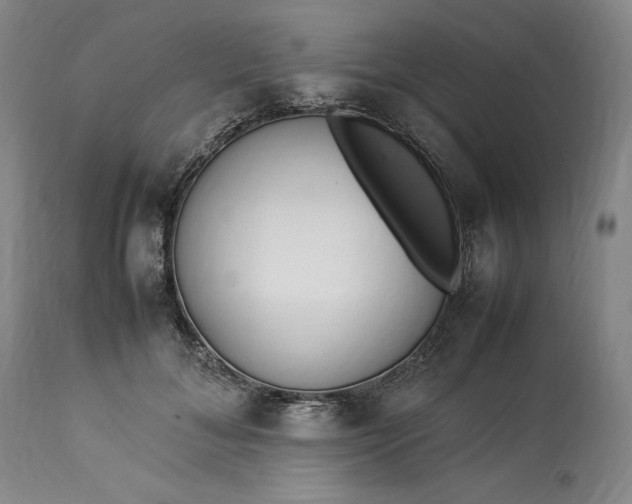 X0000113350700200909291055
