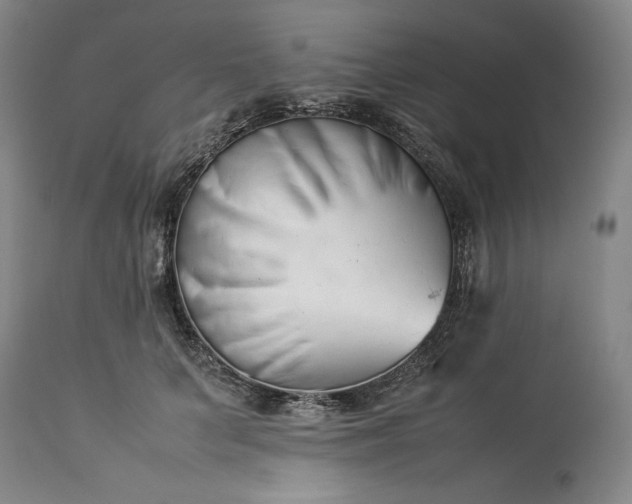 X0000113350703200909291055