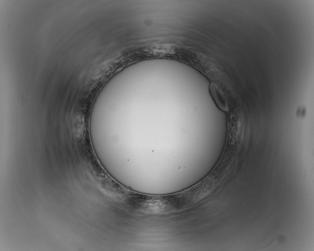 X0000113350704200909291055
