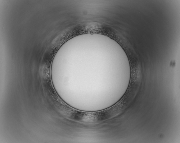 X0000113350705200909291055