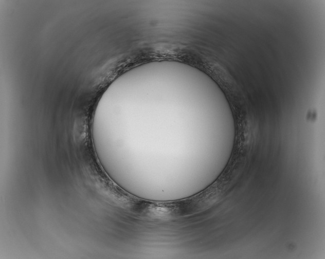 X0000113350706200909291055