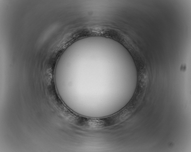 X0000113350707200909291055