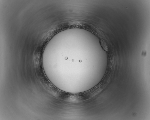 X0000113350708200909291055