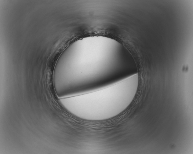 X0000113350709200909291055