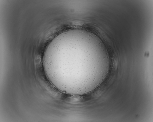 X0000113350711200909291055