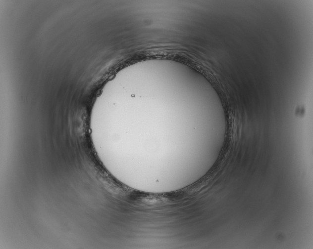X0000113350712200909291055