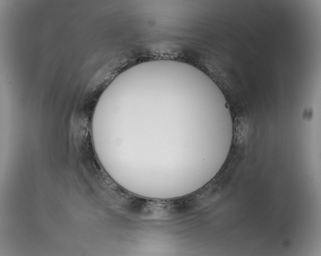 X0000113350713200909291055