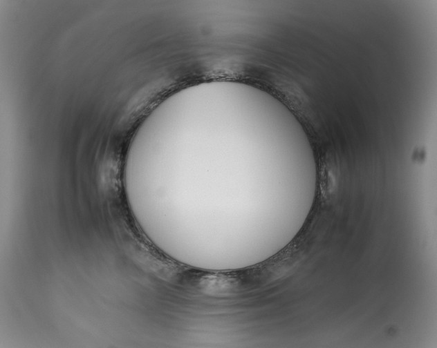 X0000113350714200909291055