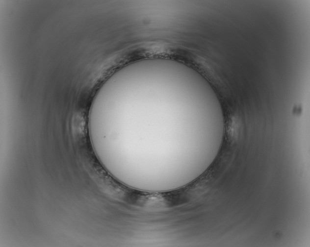 X0000113350715200909291055