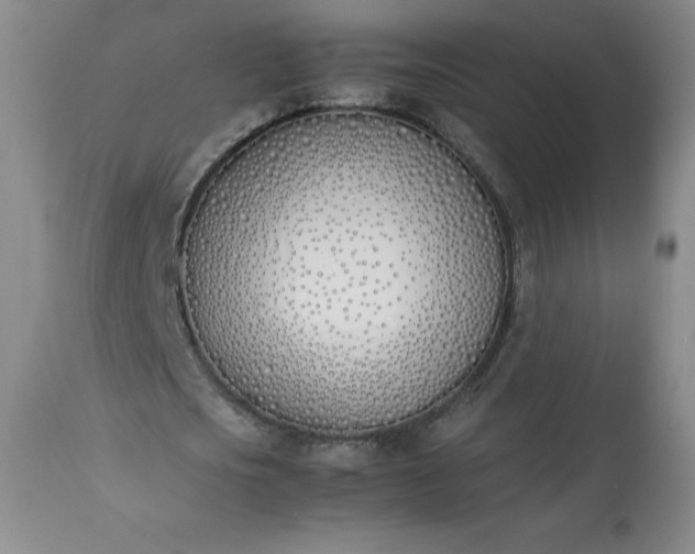X0000113350721200909291054