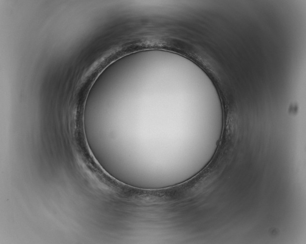 X0000113350722200909291054