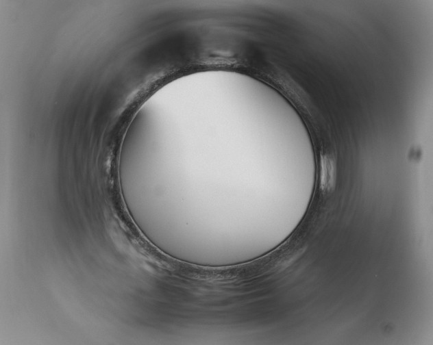 X0000113350723200909291054