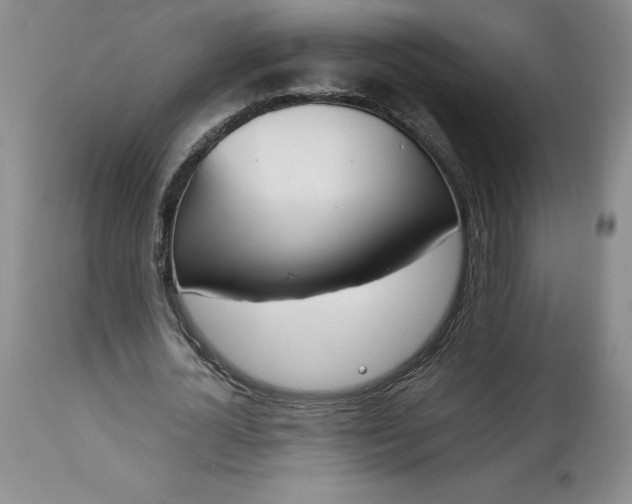 X0000113350724200909291054