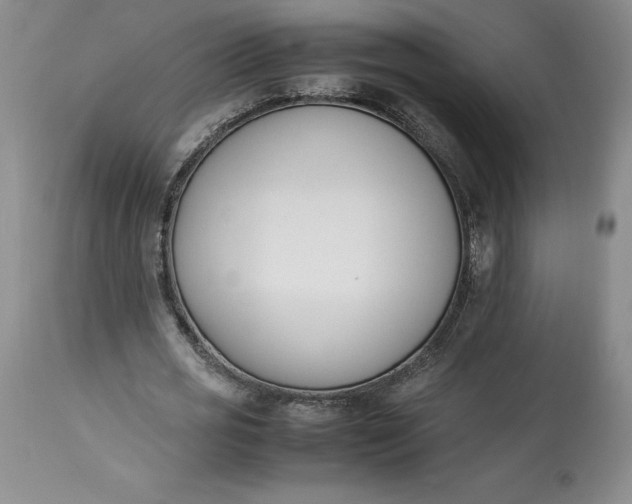 X0000113350725200909291054