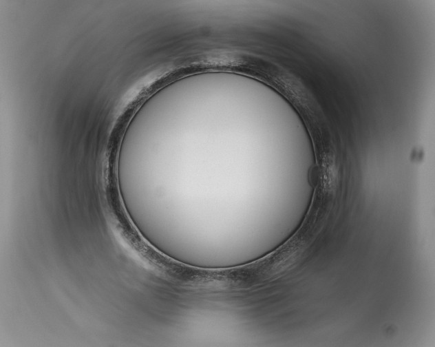 X0000113350726200909291054