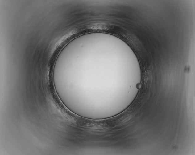 X0000113350727200909291054