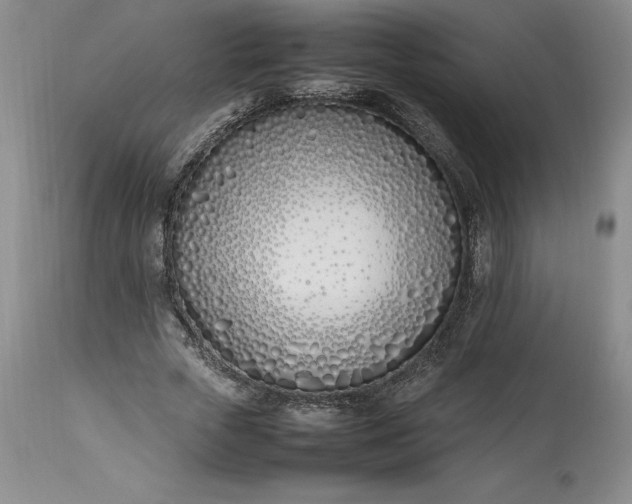 X0000113350729200909291054