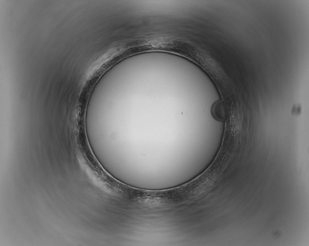 X0000113350730200909291054