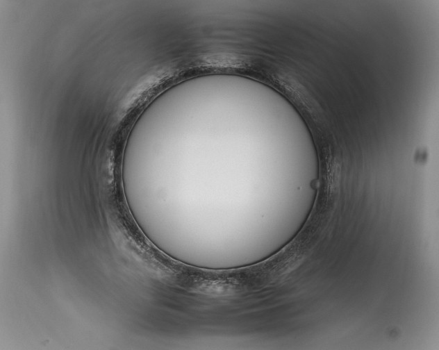 X0000113350731200909291054