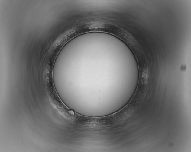 X0000113350732200909291054