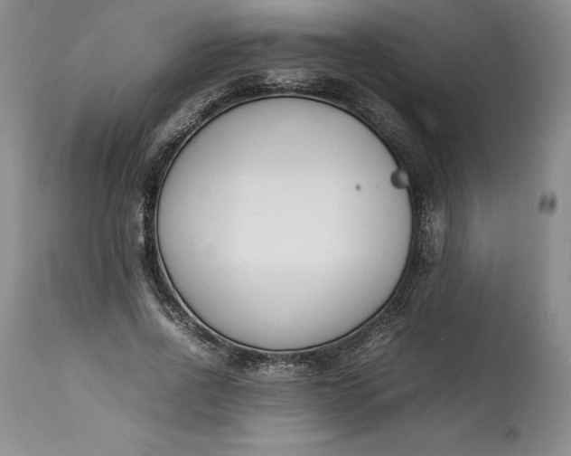 X0000113350734200909291054