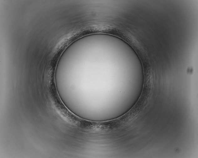 X0000113350736200909291055