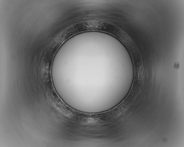 X0000113350737200909291055