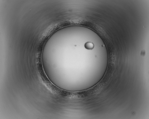 X0000113350738200909291055