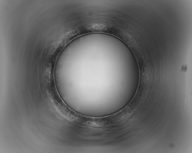X0000113350739200909291055