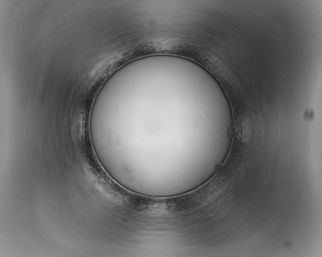 X0000113350740200909291055