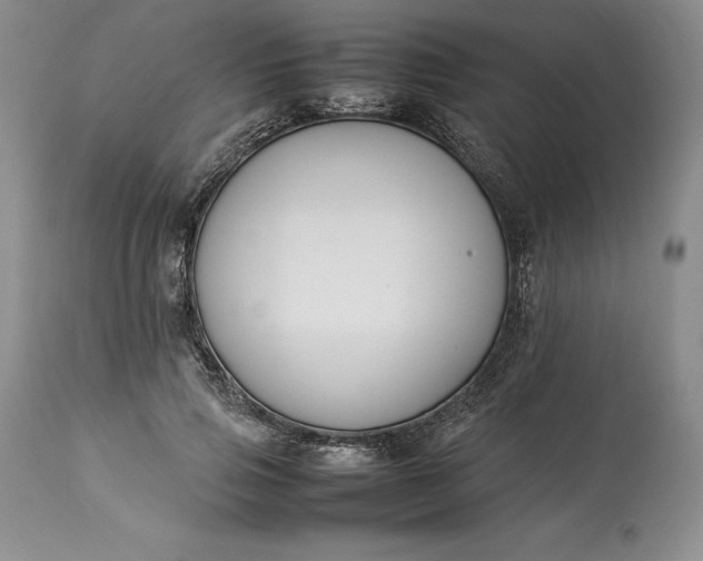 X0000113350741200909291055