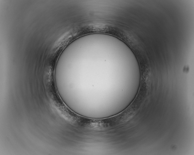 X0000113350744200909291055