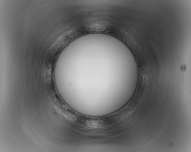 X0000113350745200909291055