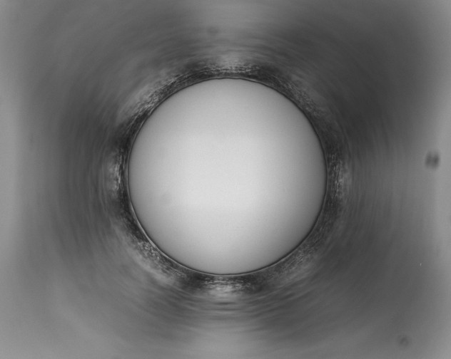 X0000113350746200909291055