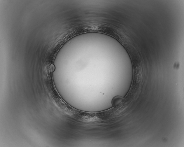 X0000113350747200909291055