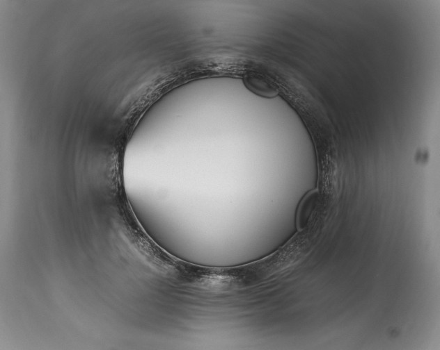 X0000113350748200909291055
