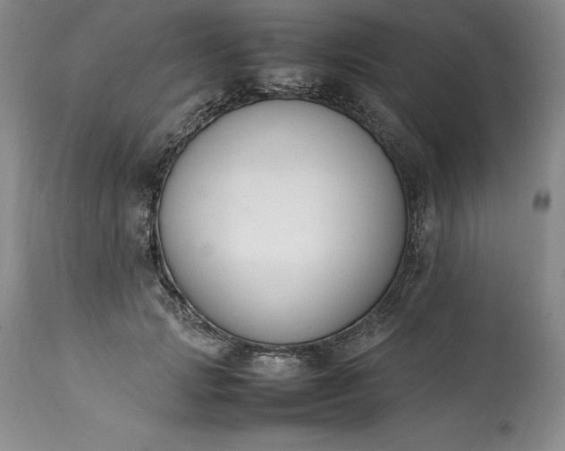 X0000113350749200909291055