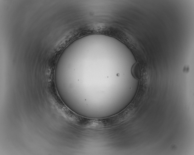 X0000113350750200909291055