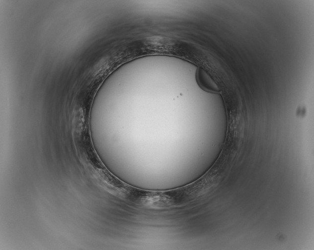 X0000113350752200909291055