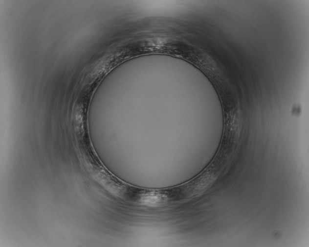 X0000113350754200909291055