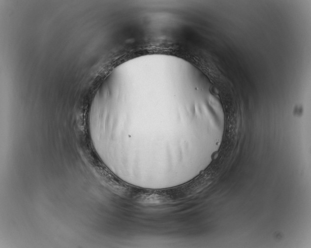 X0000113350755200909291055