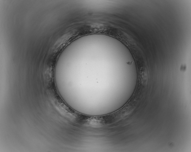X0000113350756200909291055