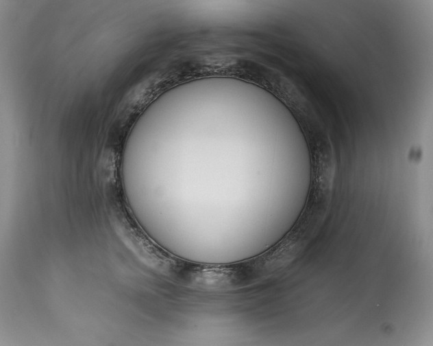 X0000113350758200909291055