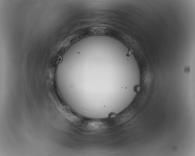X0000113350759200909291055