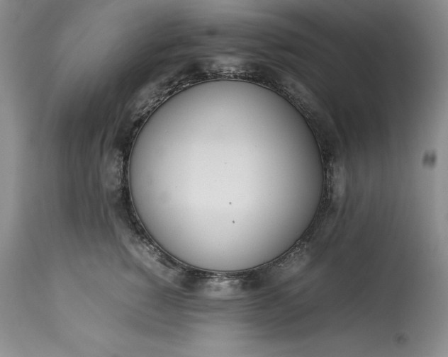 X0000113350760200909291055