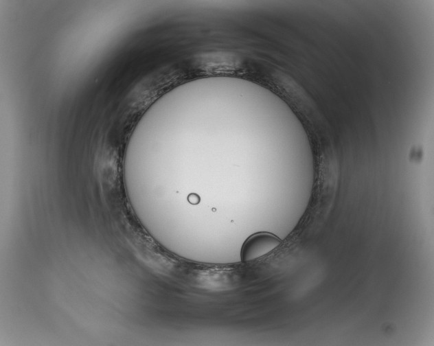 X0000113350761200909291055