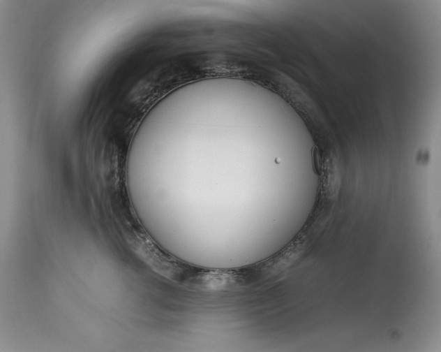 X0000113350762200909291055