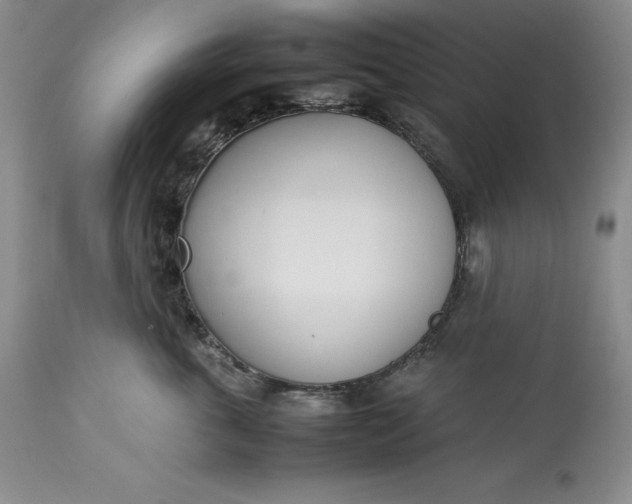 X0000113350763200909291055